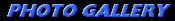 PHOTO GALLERY in blue gallant emboss.jpg (3734 bytes)